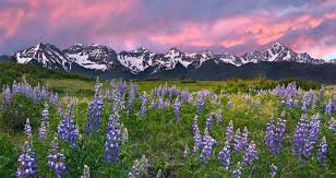 Colorado Summer Image of the mountains in Colorado in the Summer.